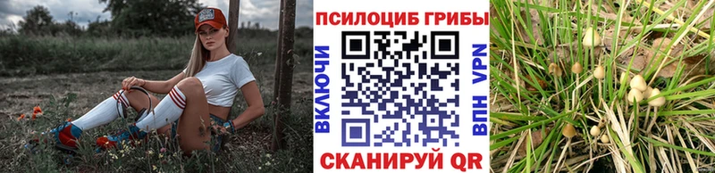 Псилоцибиновые грибы ЛСД  купить наркоту  Нижнекамск 